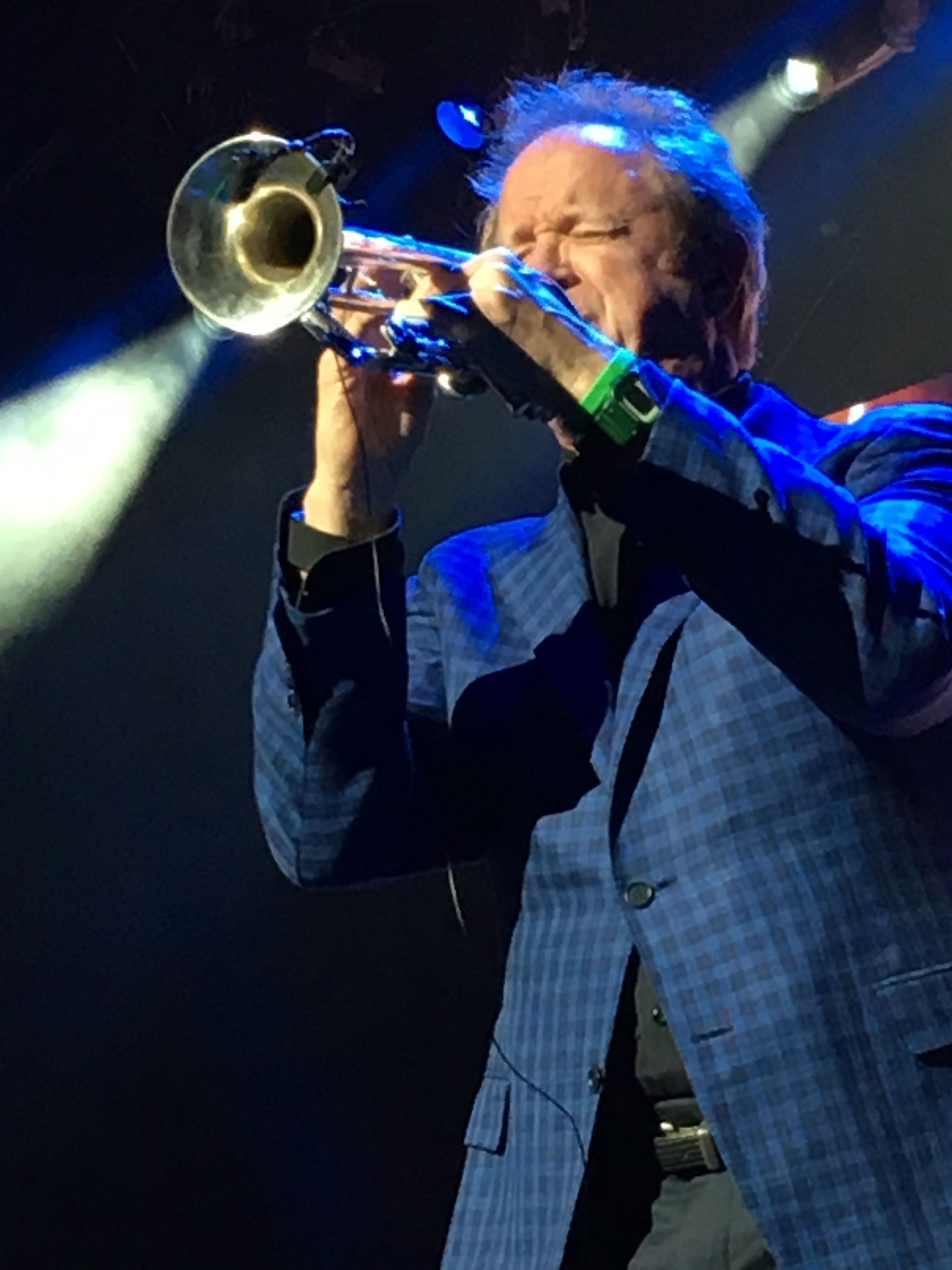Lee Loughnane Live 2017